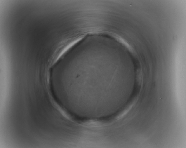 X0000114410589200910231134