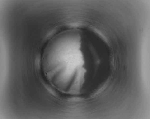 X0000114410590200910231134