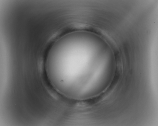 X0000114410591200910231134
