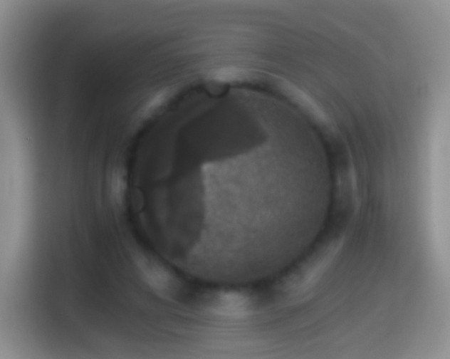 X0000114410592200910231134