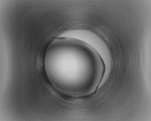 X0000114410593200910231134