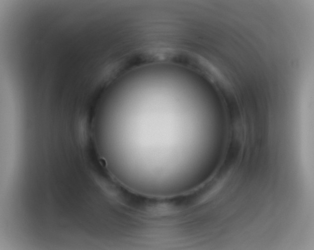 X0000114410594200910231134