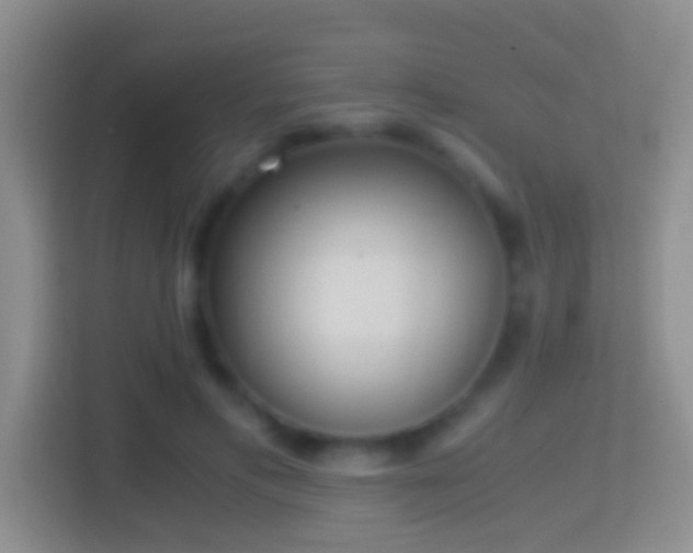 X0000114410597200910231134
