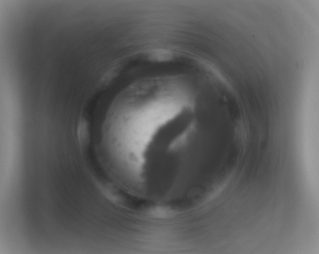 X0000114410598200910231134