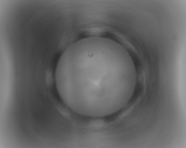 X0000114410599200910231134