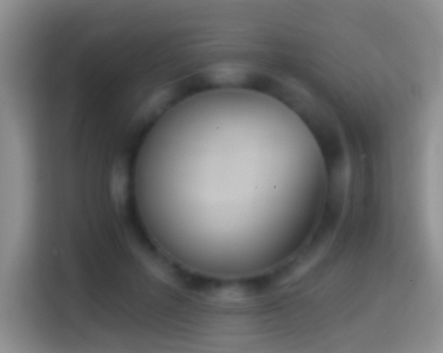 X0000114410600200910231134