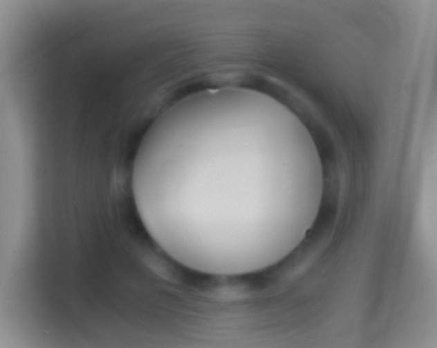X0000114410601200910231134