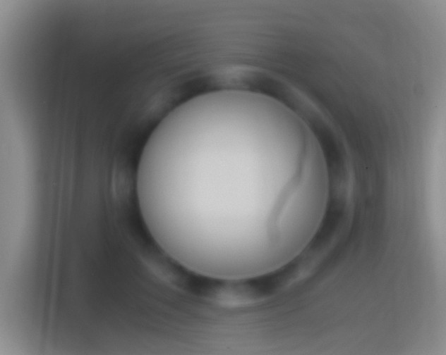 X0000114410603200910231134