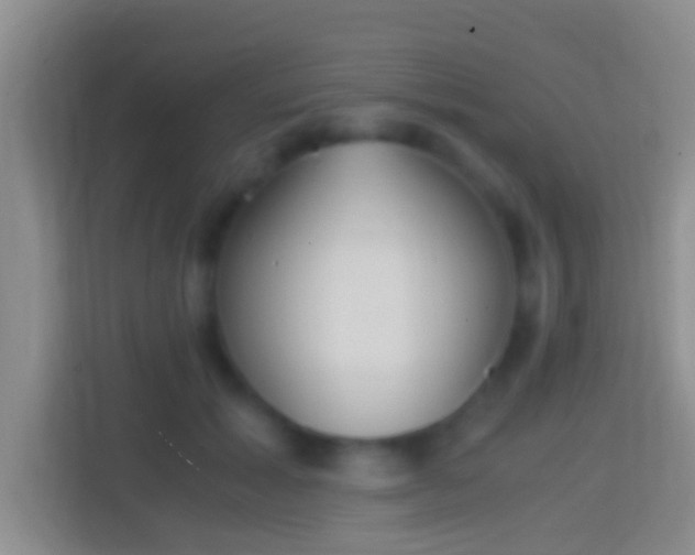 X0000114410605200910231134