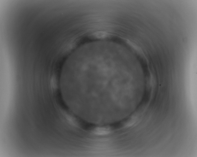X0000114410606200910231133