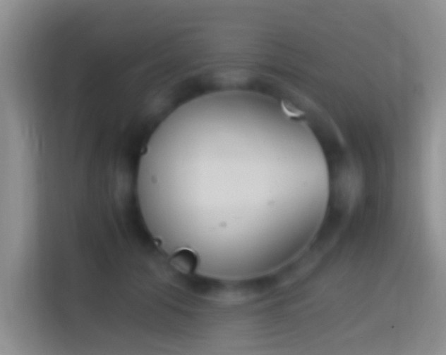 X0000114410608200910231133