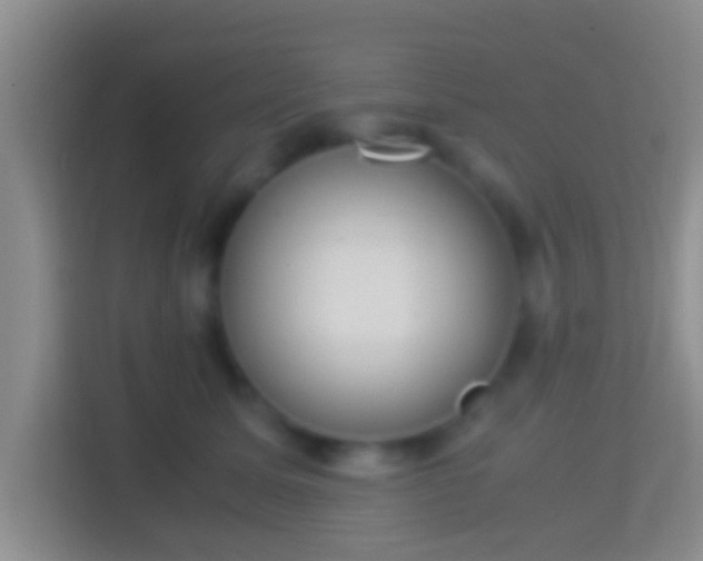 X0000114410611200910231133