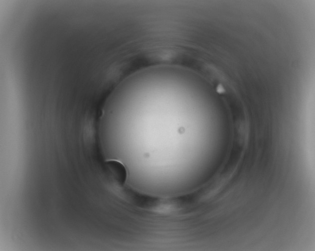 X0000114410612200910231133
