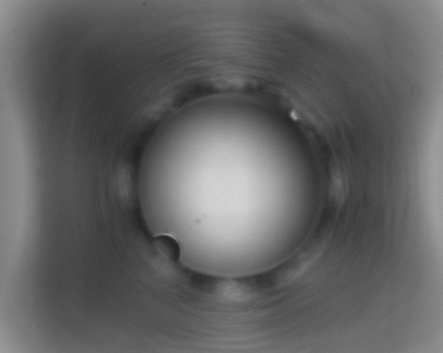 X0000114410616200910231133