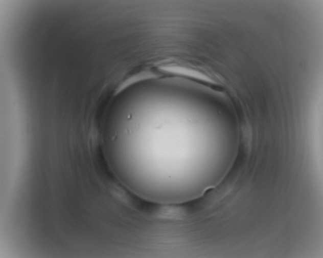 X0000114410617200910231133