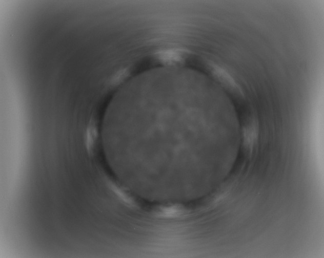 X0000114410618200910231133