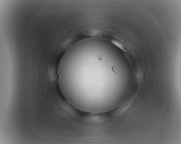 X0000114410620200910231133