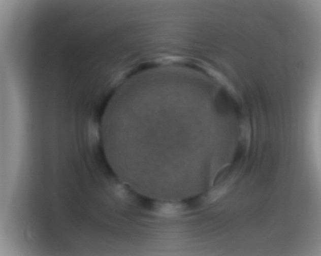 X0000114410621200910231133