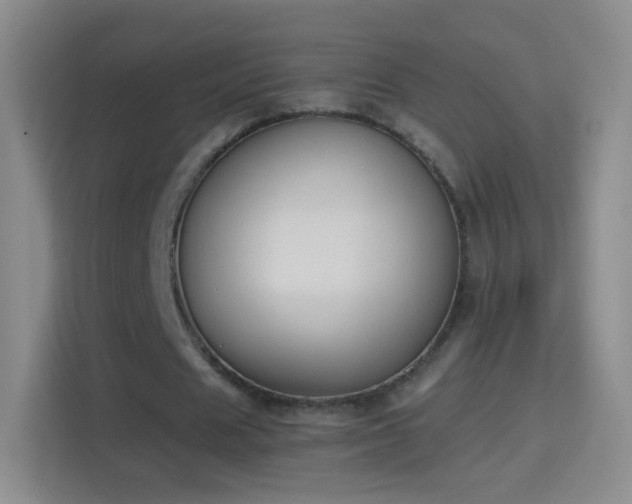 X0000114410625200910231133