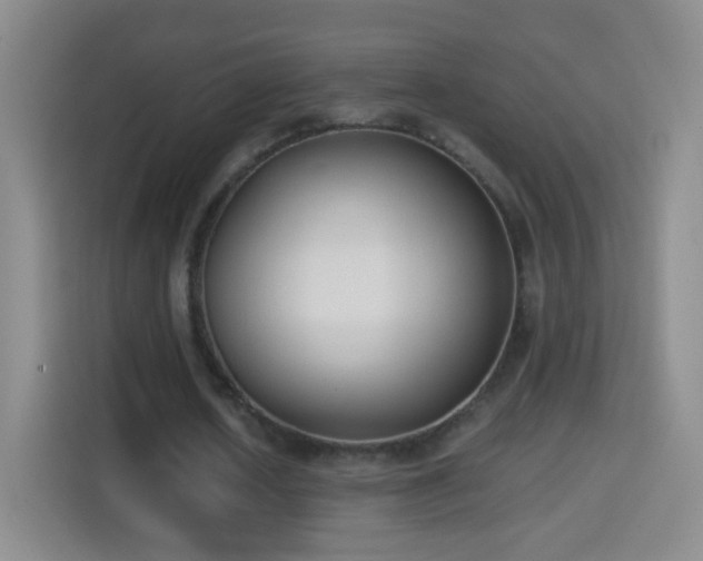 X0000114410626200910231133