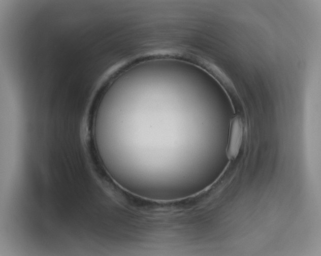 X0000114410628200910231133