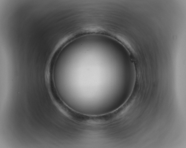 X0000114410630200910231133