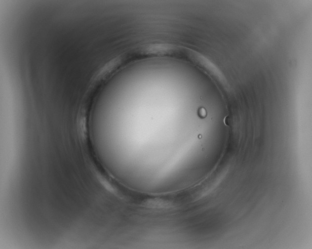 X0000114410633200910231133