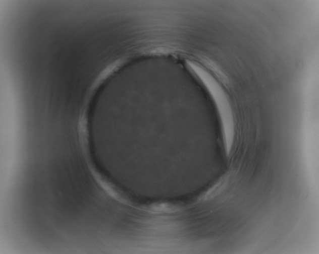 X0000114410634200910231133