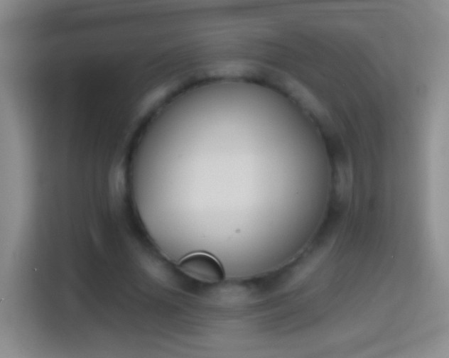 X0000114410636200910231133