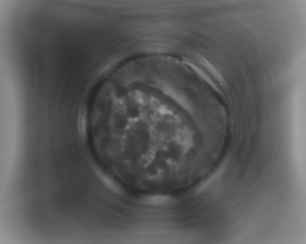 X0000114410637200910231133