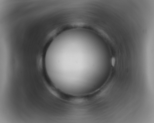 X0000114410638200910231133