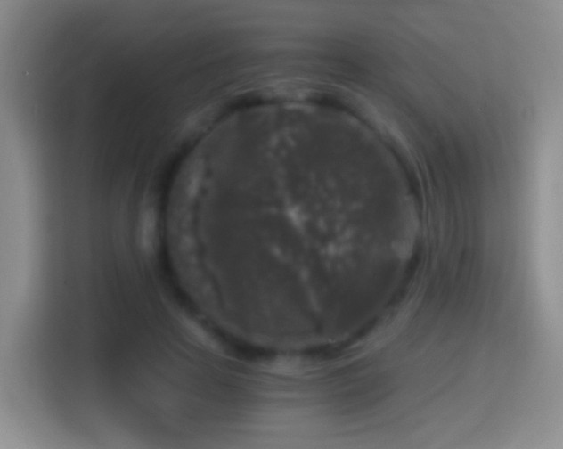 X0000114410641200910231133