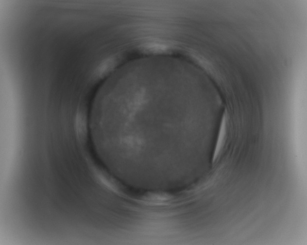 X0000114410642200910231133