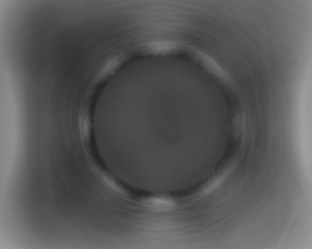 X0000114410644200910231133
