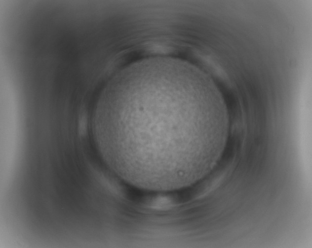 X0000114410647200910231133