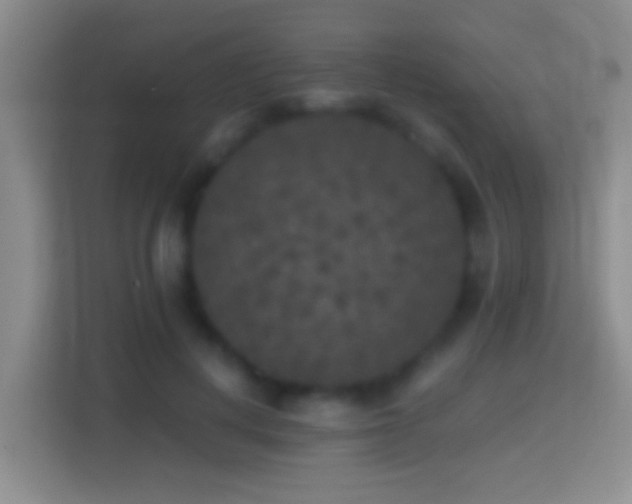 X0000114410648200910231133