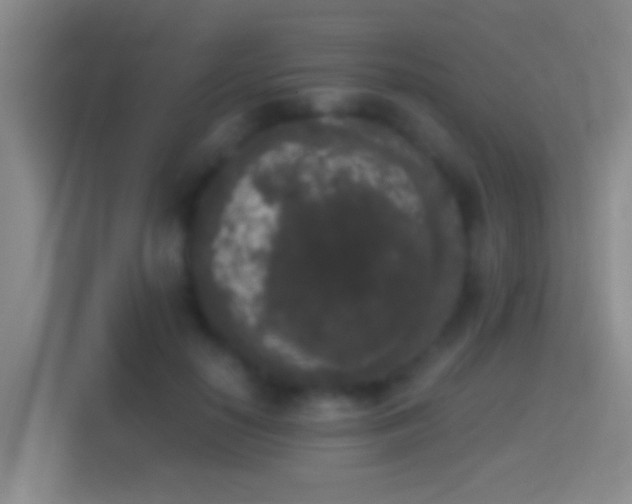 X0000114410650200910231133