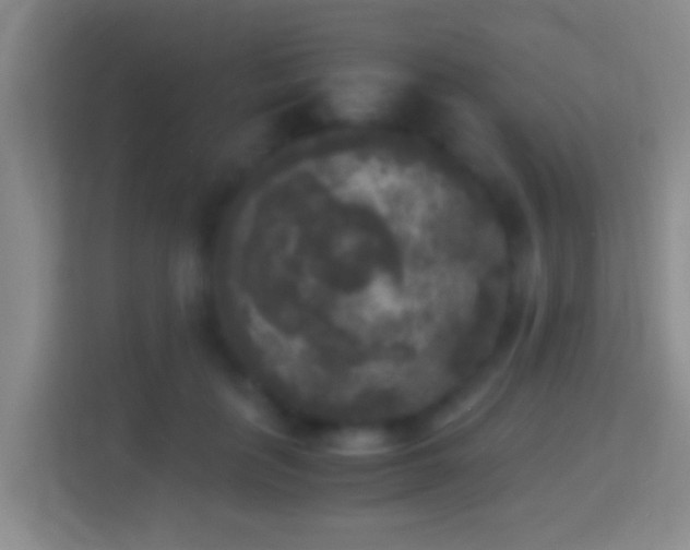 X0000114410651200910231133