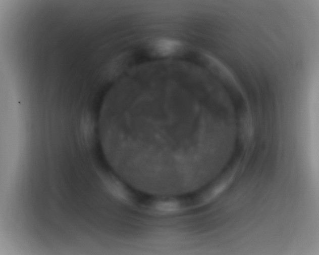 X0000114410653200910231133