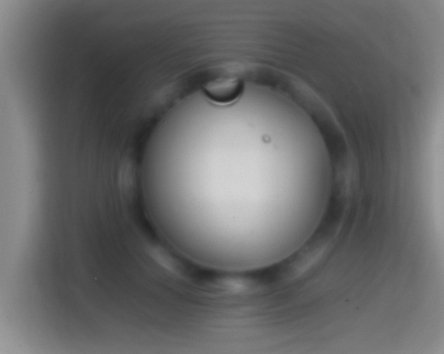 X0000114410654200910231133
