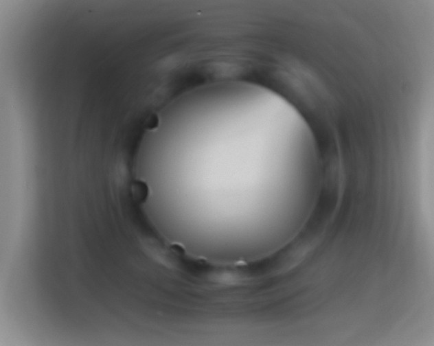 X0000114410655200910231133