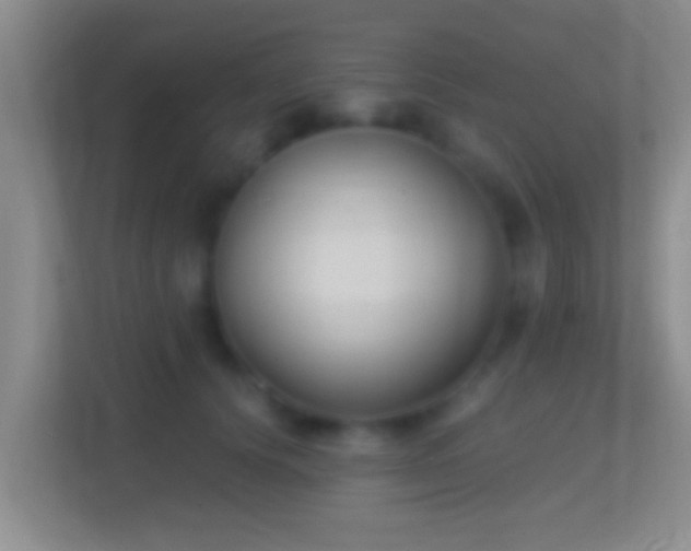 X0000114410656200910231133