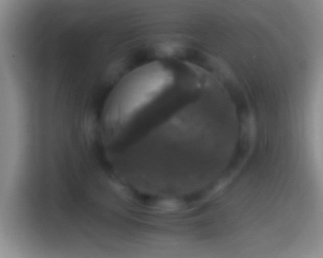 X0000114410659200910231133
