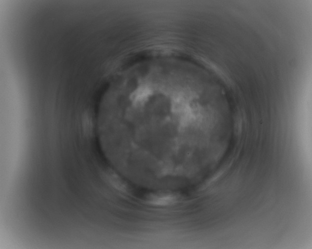 X0000114410661200910231133
