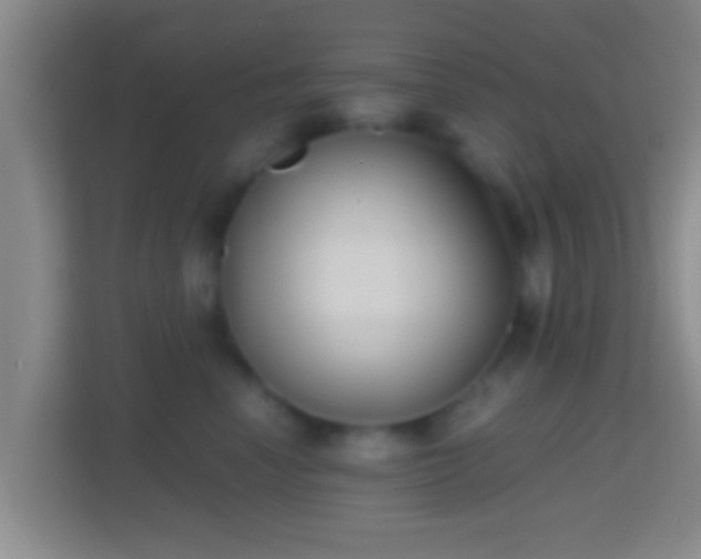 X0000114410666200910231133