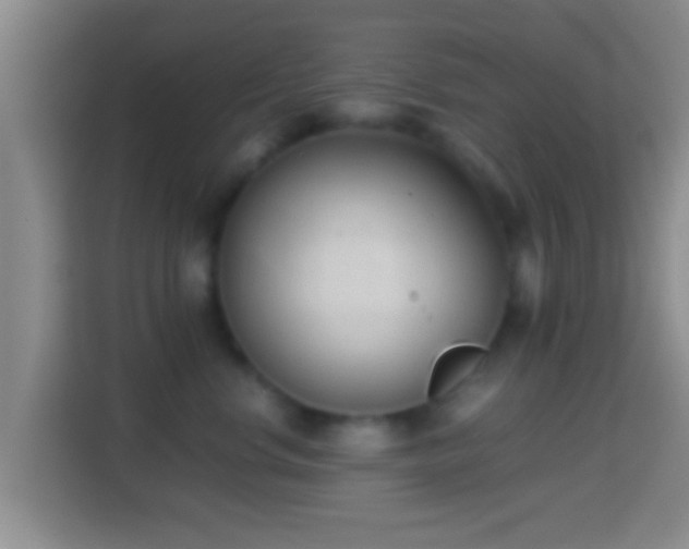 X0000114410668200910231133