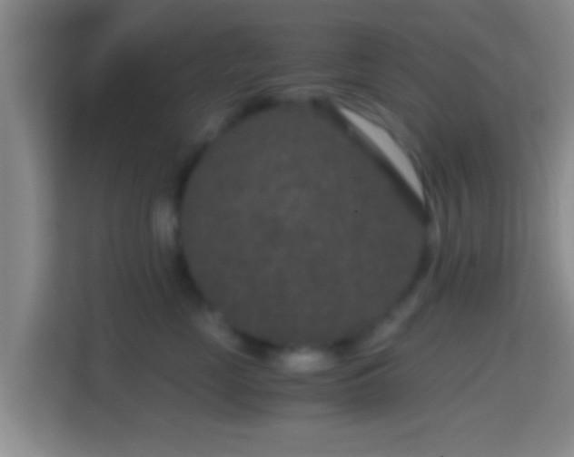 X0000114410669200910231133