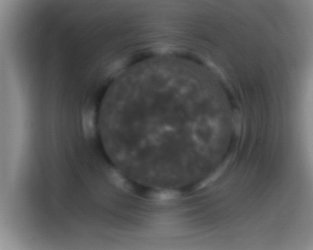 X0000114410670200910231133