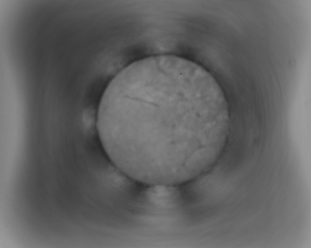 X0000114410672200910231133