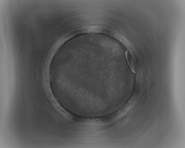 X0000114410673200910231133
